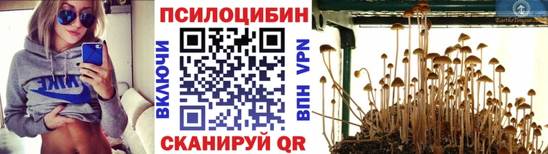 Галлюциногенные грибы Psilocybe  Купить  Куйбышев 